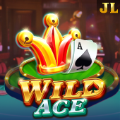 Wild Ace slot game at BigBunny Casino